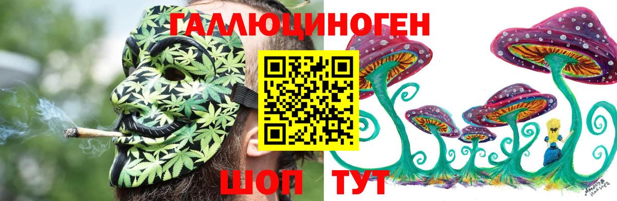Галлюциногенные грибы Psilocybine cubensis Бугуруслан